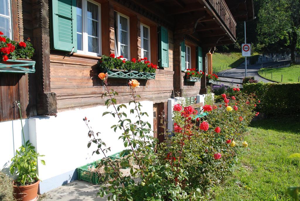 Апартаменти Chalet Tuftbach Гріндельвальд Екстер'єр фото